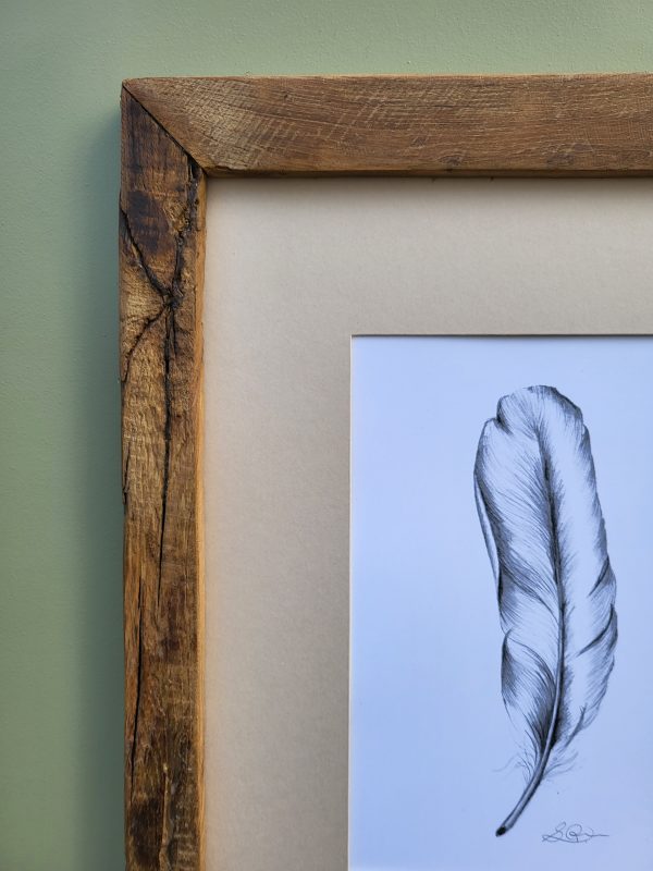 Feather Print in an Oak Frame - Image 4