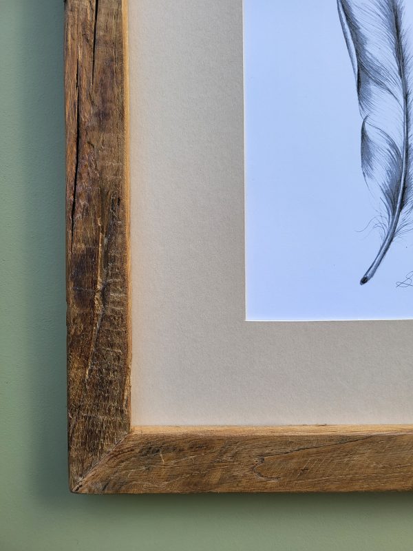 Feather Print in an Oak Frame - Image 2