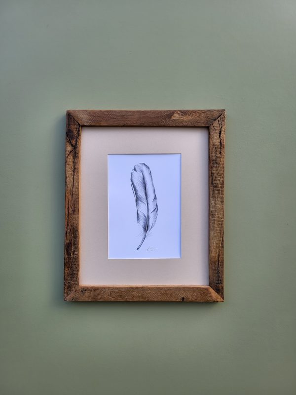 Feather Print in an Oak Frame